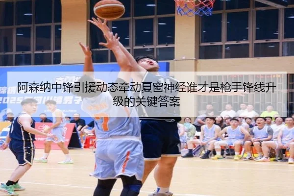 阿森纳中锋引援动态牵动夏窗神经谁才是枪手锋线升级的关键答案